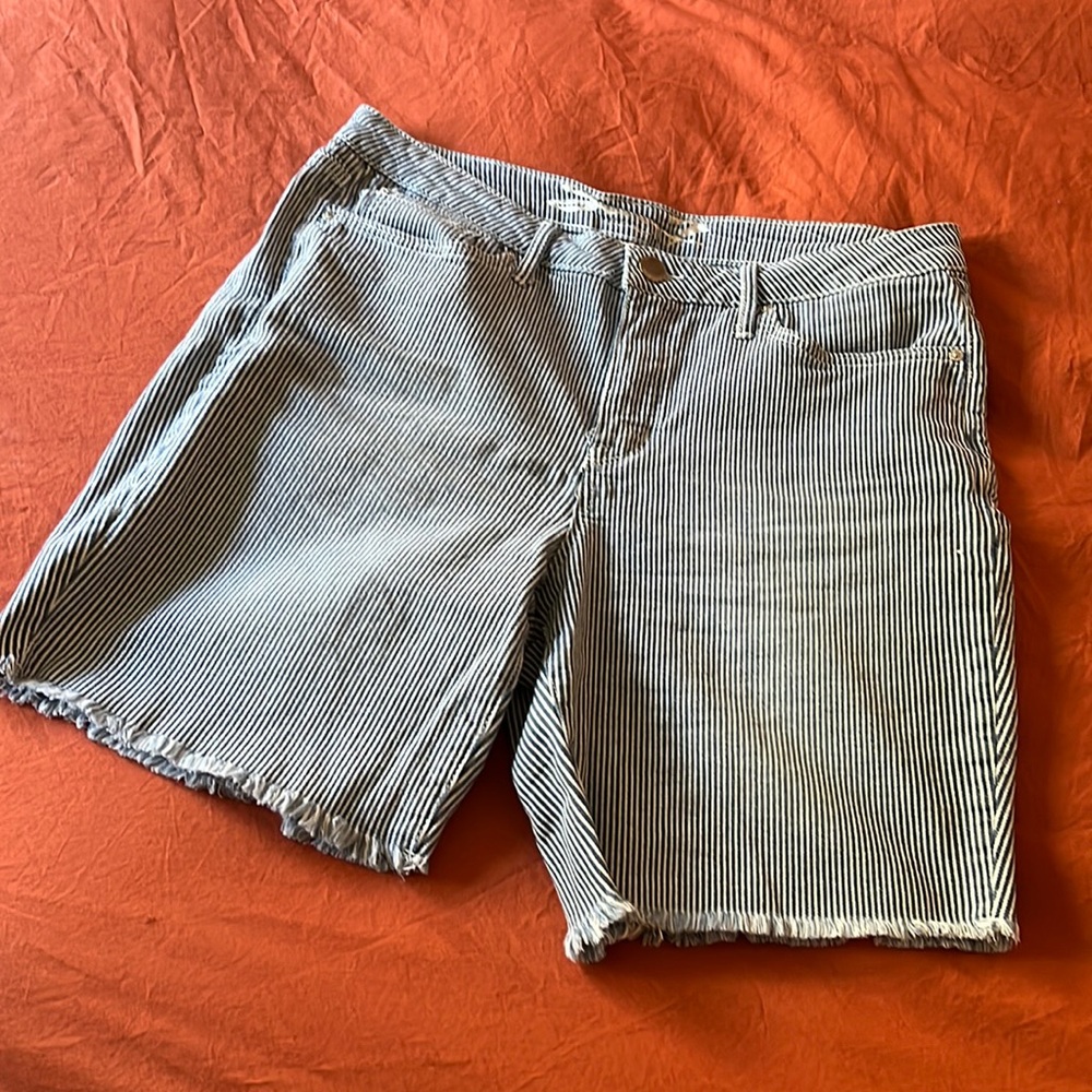 Blue Stripe Bermuda Shorts